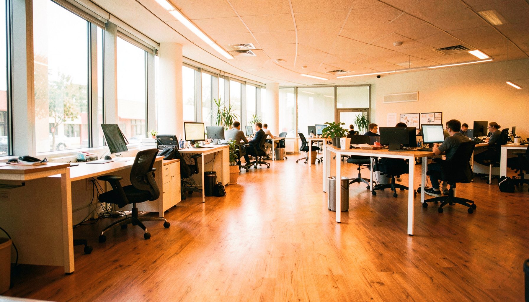 Bright modern office interior with warm wood-composite flooring, natural light streaming through large windows, and a collaborative workspace atmosphere